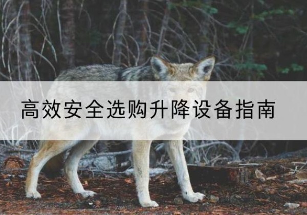 孟连升降货梯厂家推荐-*安全选购升降设备指南