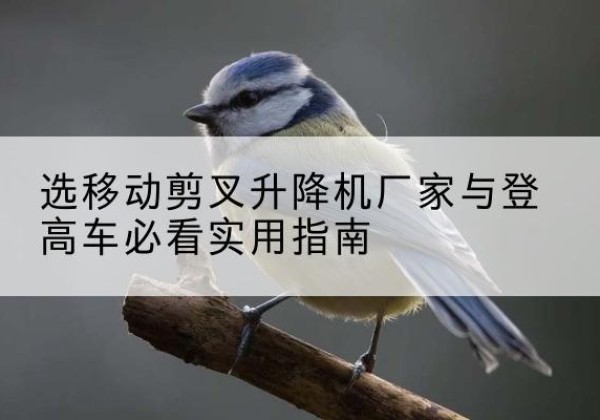 孟连电动升降机厂家-选移动剪叉升降机厂家与登高车必看实用指南